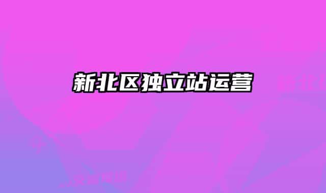 新北区独立站运营