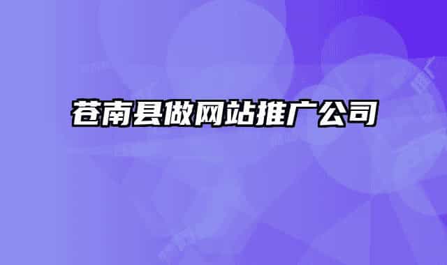 苍南县做网站推广公司