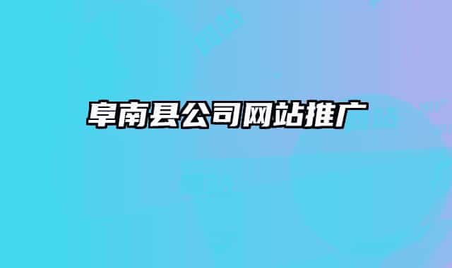 阜南县公司网站推广