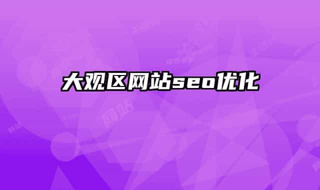 大观区网站seo优化