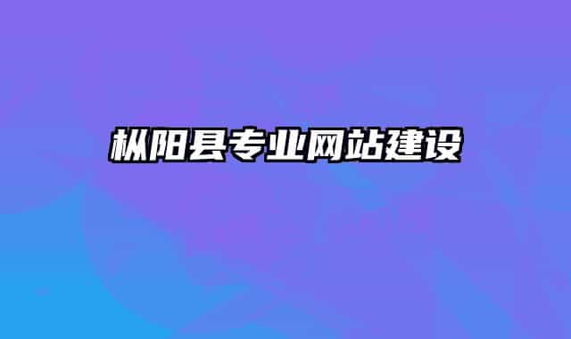 枞阳县专业网站建设