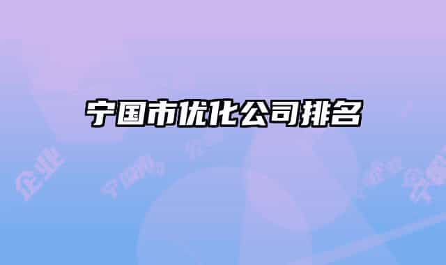宁国市优化公司排名