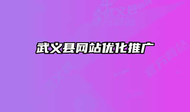武义县网站优化推广