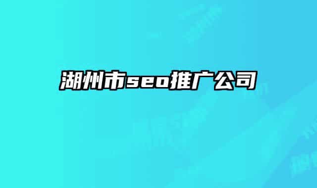 湖州市seo推广公司