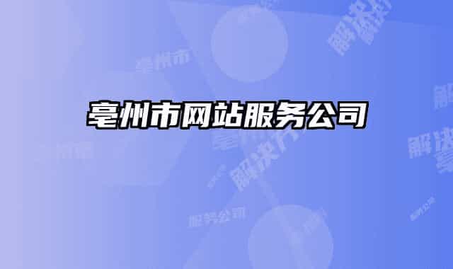 亳州市网站服务公司