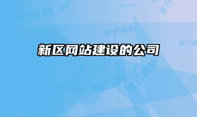 新区网站建设的公司