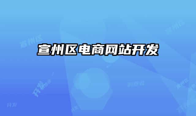 宣州区电商网站开发