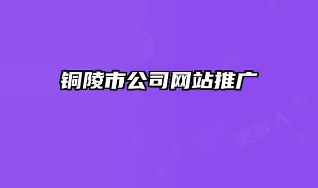 铜陵市公司网站推广