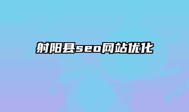 射阳县seo网站优化