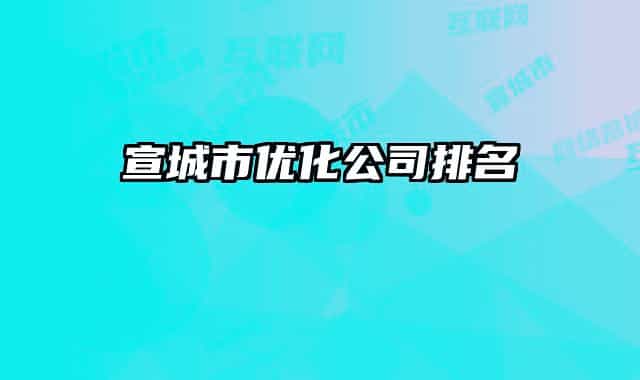 宣城市优化公司排名