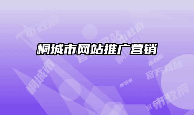桐城市网站推广营销