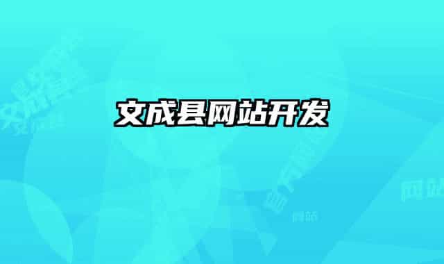 文成县网站开发