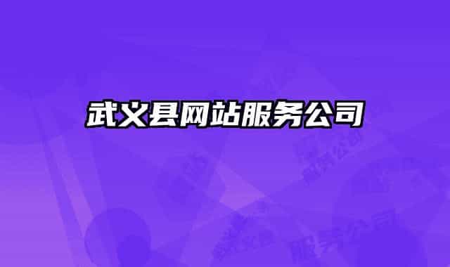 武义县网站服务公司