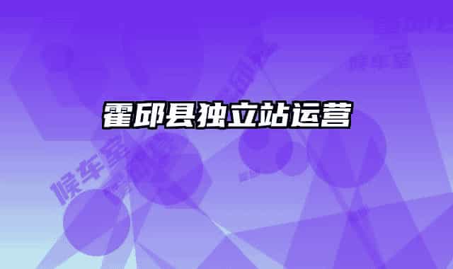 霍邱县独立站运营