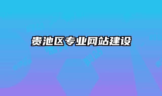 贵池区专业网站建设