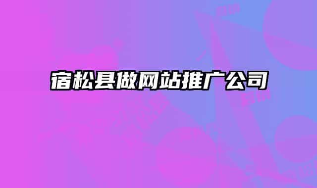 宿松县做网站推广公司