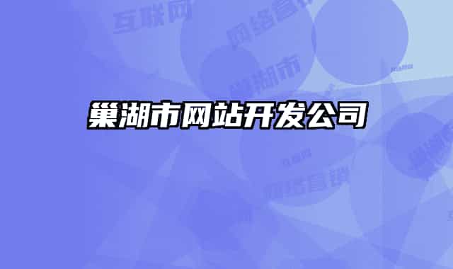 巢湖市网站开发公司