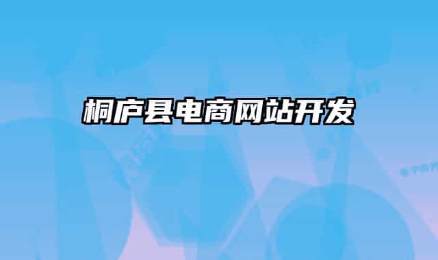 桐庐县电商网站开发
