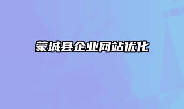 蒙城县企业网站优化
