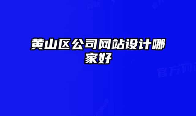 黄山区公司网站设计哪家好