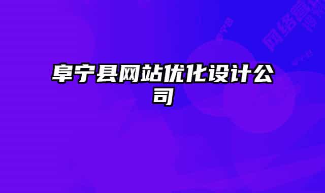 阜宁县网站优化设计公司