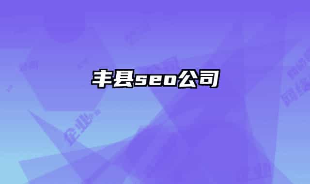 丰县seo公司
