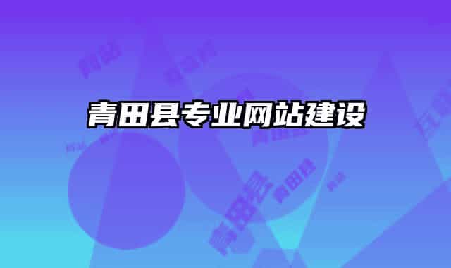 青田县专业网站建设
