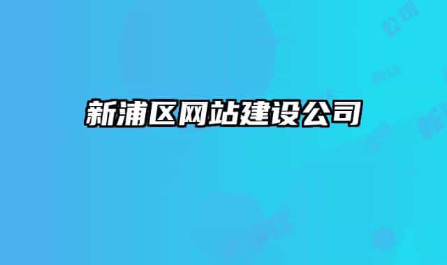 新浦区网站建设公司