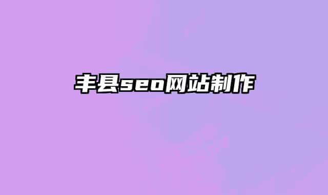 丰县seo网站制作