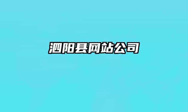 泗阳县网站公司