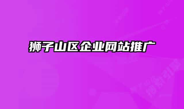 狮子山区企业网站推广