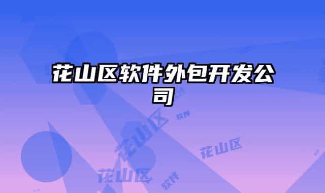花山区软件外包开发公司