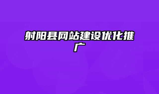 射阳县网站建设优化推广