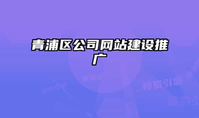青浦区公司网站建设推广