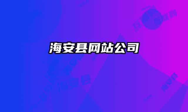 海安县网站公司