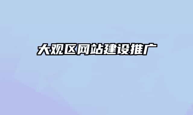 大观区网站建设推广