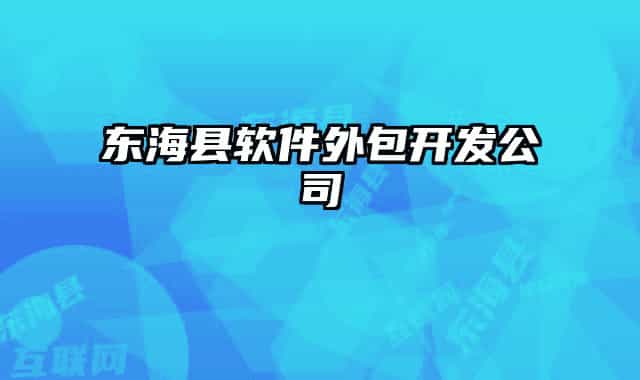 东海县软件外包开发公司