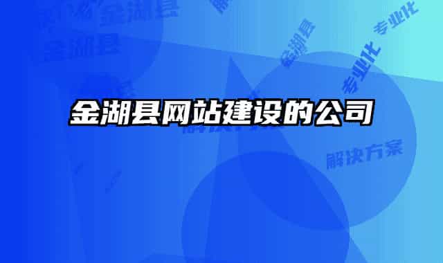 金湖县网站建设的公司