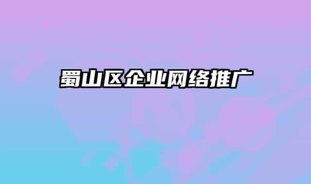 蜀山区企业网络推广