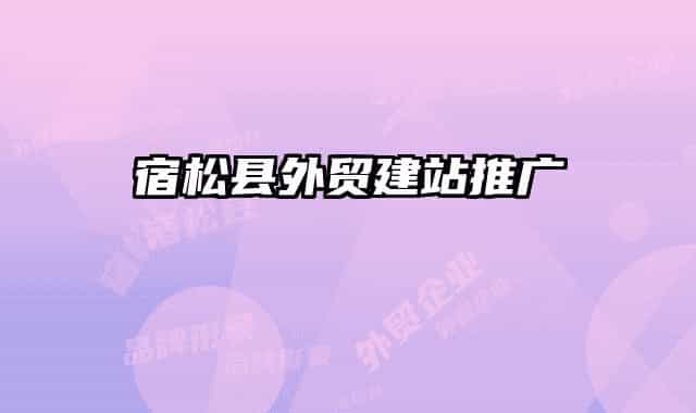 宿松县外贸建站推广