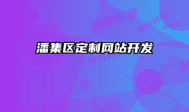 潘集区定制网站开发