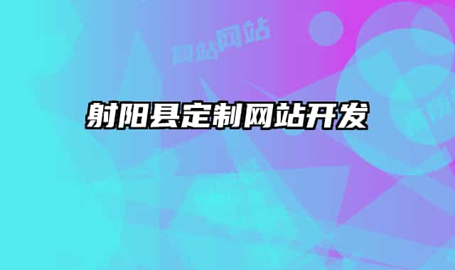 射阳县定制网站开发