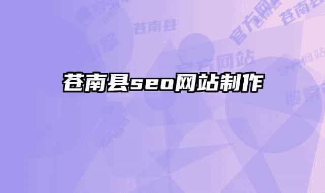 苍南县seo网站制作