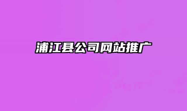 浦江县公司网站推广