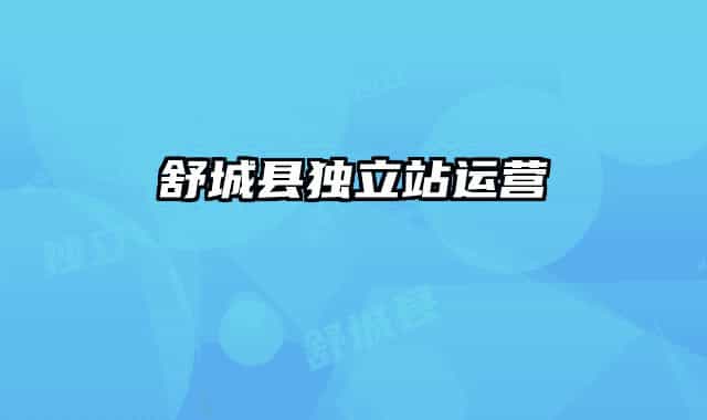 舒城县独立站运营