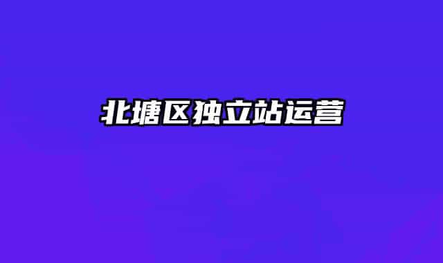 北塘区独立站运营