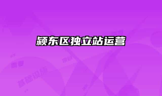 颍东区独立站运营
