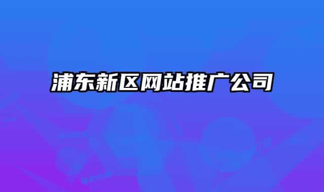 浦东新区网站推广公司