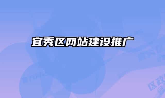 宜秀区网站建设推广