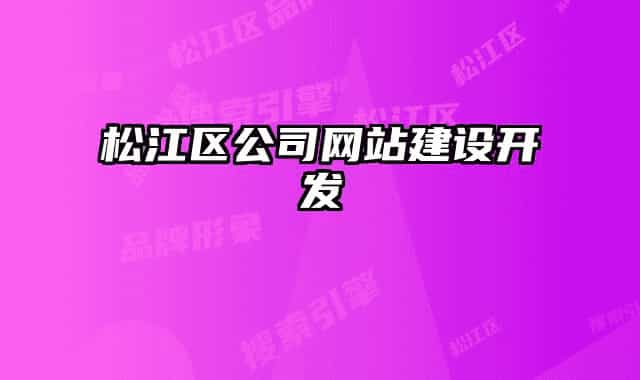 松江区公司网站建设开发